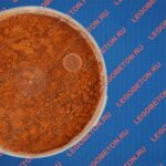 фасованный пигмент оранжевый 960, пигмент оранжевый 960 в пластиковой таре, фасованный неорганический пигмент оранжевый 960, фасованный железооксидный пигмент оранжевый 960, фасованный пигмент оранжевый 960 для тротуарной плитки купить