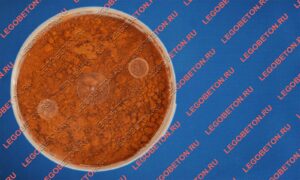 фасованный пигмент оранжевый 960, пигмент оранжевый 960 в пластиковой таре, фасованный неорганический пигмент оранжевый 960, фасованный железооксидный пигмент оранжевый 960, фасованный пигмент оранжевый 960 для тротуарной плитки купить