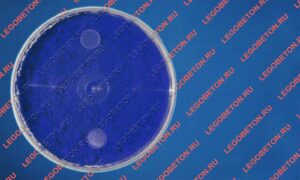 фасованный пигмент синий 1001, пигмент синий 1001 в пластиковой таре, фасованный неорганический пигмент синий 1001, фасованный железооксидный пигмент синий 1001, фасованный пигмент синий 1001 для тротуарной плитки купить