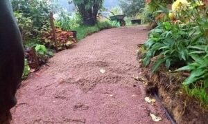 Гранитный отсев , фракция 0.16-3 мм — изображение 3