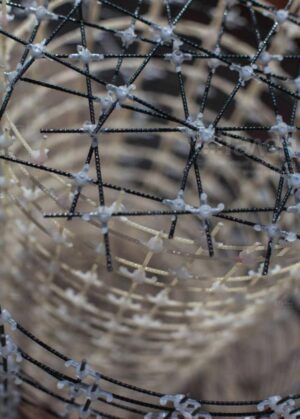 022.1 Строительная сетка базальтовая арматурная ROCKMESH-(50х50) в картах — изображение 5